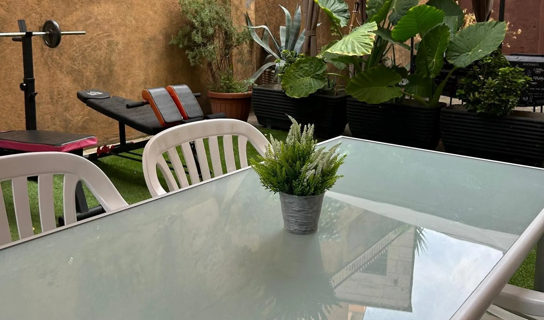 Candelor'S House - Apt & Garden In Gianicolense Rome Italy